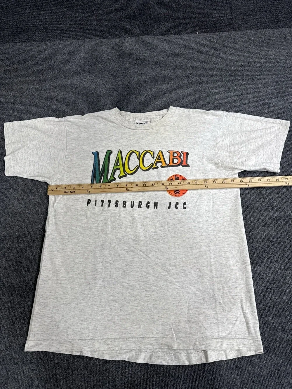 Vintage 90s Reebok Maccabi Pittsburgh JCC Mens Large Gray Rainbow Graphic